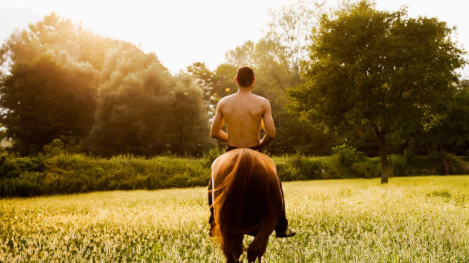 articles/2012/12/01/germany-weighs-bestiality-ban-amid-rise-of-pet-porn-animal-brothels/nadeau-bestiality-germany-tease_rrinxr