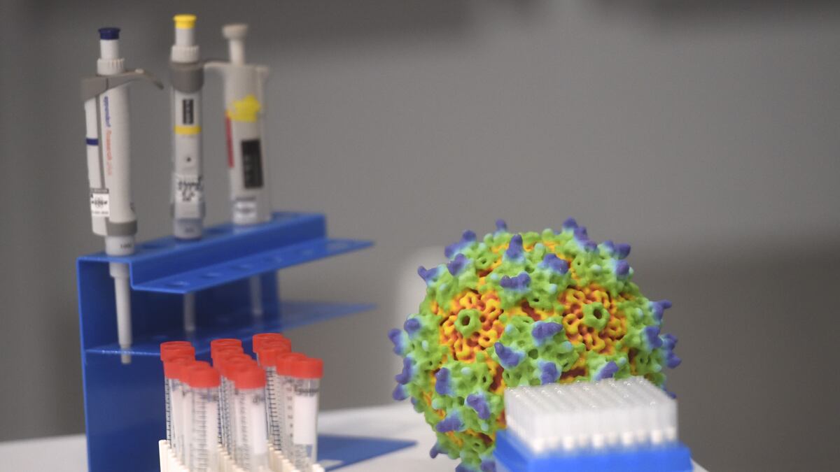 cheats/2016/02/16/new-cancer-treatment-acts-like-vaccine/160217-cancer-research-cheat_ky5jhf