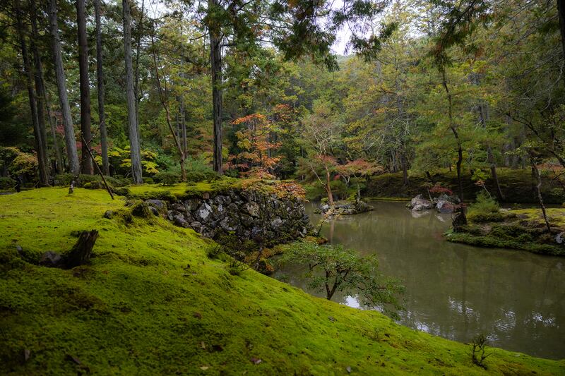A photo of Kokedera Kyoto garden in Japan.