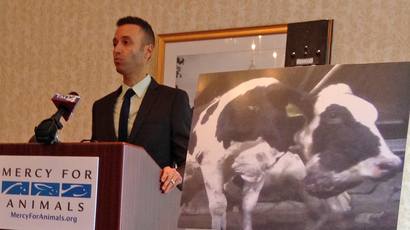 cheats/2013/12/12/digiorno-goes-torture-free/131212-digiorno-abuse-cheat_nxr3ah