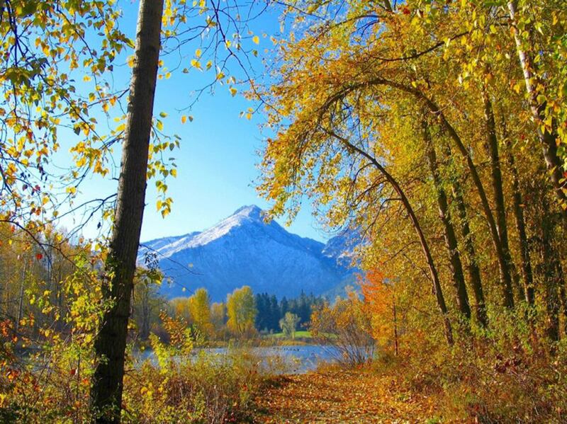 galleries/2013/09/25/where-to-see-the-best-fall-foliage-in-the-u-s-photos/130923-fall-colors-04_ljy0ul