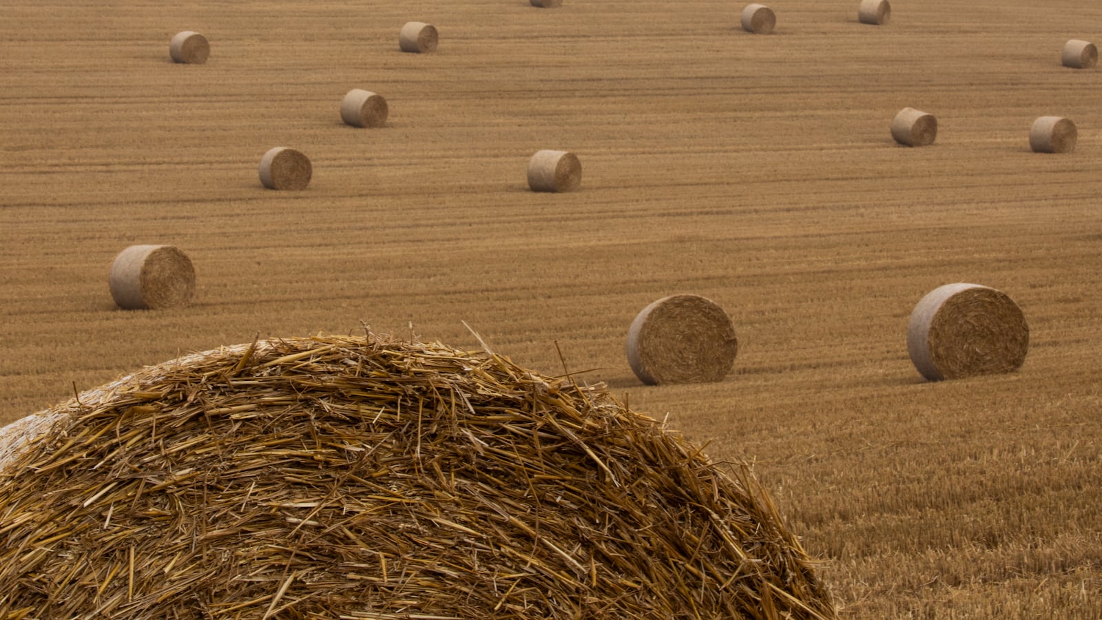 GettyImages-1265669617_xx1v7b