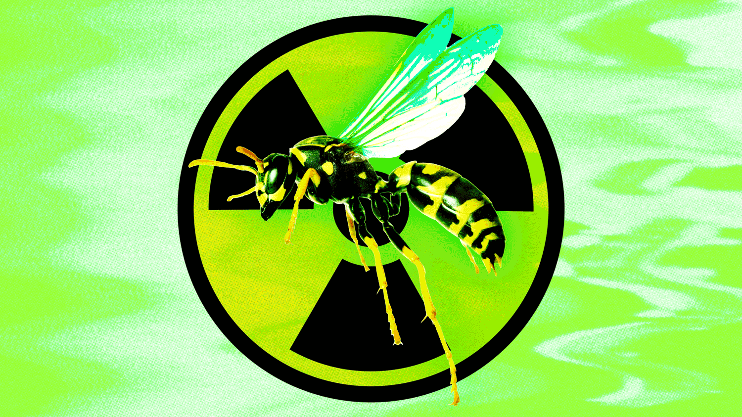 An animated GIF of a radioactive wasp.