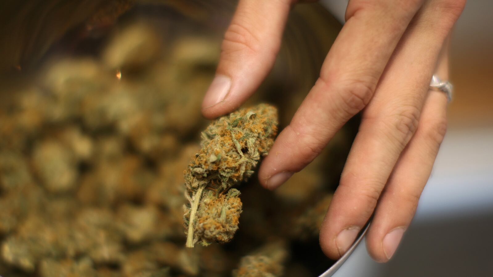 cheats/2012/11/10/marijuana-charges-in-wa-dismissed/reefer-madness-kingcounty-cheat_iqbf1s