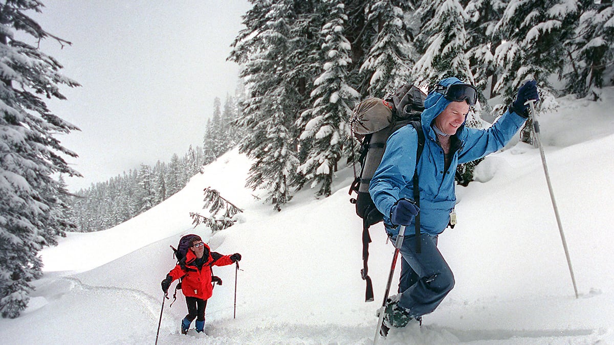 cheats/2012/02/20/3-skiers-killed-in-avalanche/stephens-pass-cheat_hapqmp