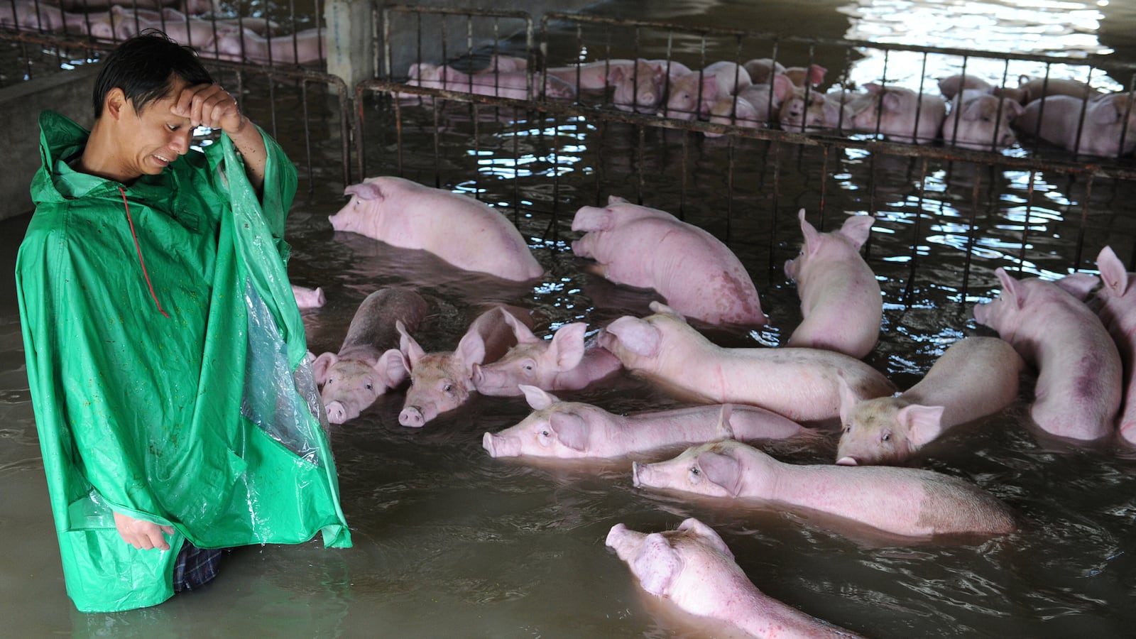galleries/2016/07/05/fatal-floods-intensify-in-china-photos/160705-china-flooding-01_f8dild