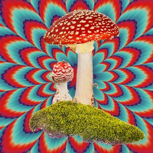 201120-Roberts-covid-magic-mushrooms-tease_hydnl9