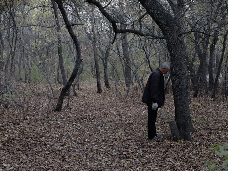 galleries/2011/01/19/hai-bo/hai-bo-3_zicdpt