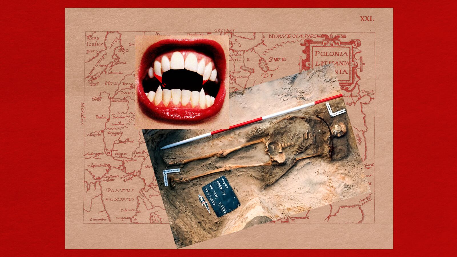 220910-moss-vampire-hero_g0j0jk