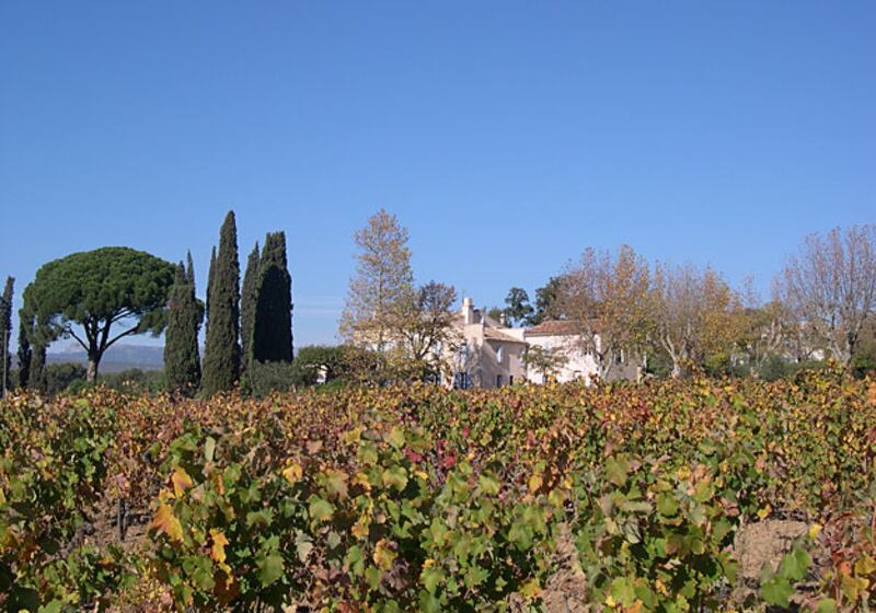 galleries/2010/08/03/summer-foods-alice-waters/summer-food---alice-waters-6_hvw6rn