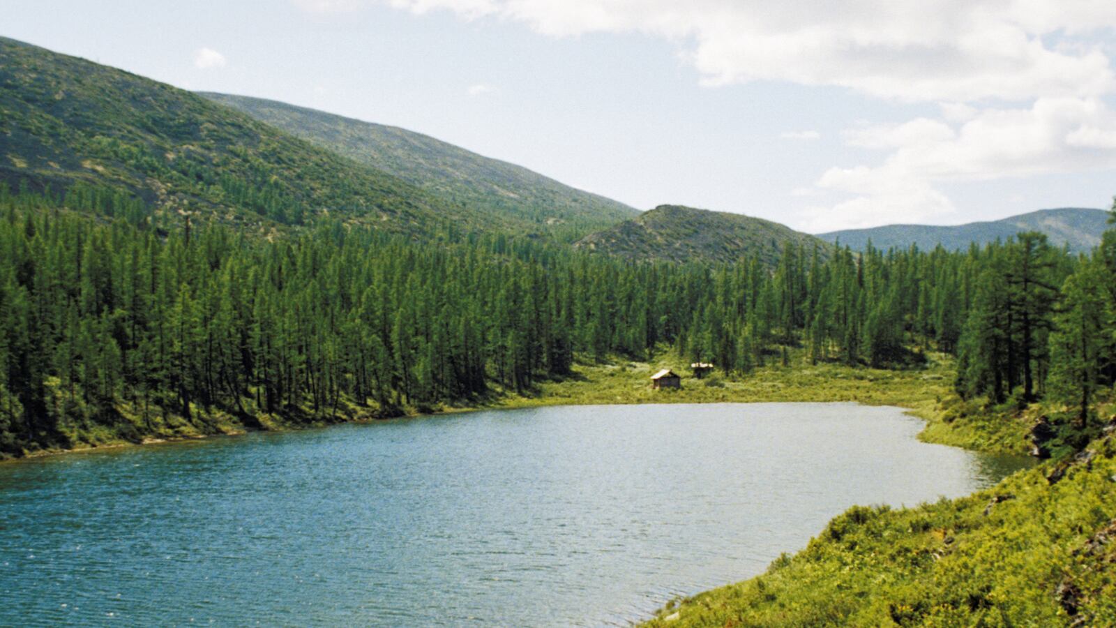 cheats/2013/11/21/24-000-year-old-boy-s-dna-linked/131121-serbia-boy-cheat_wmsa5v