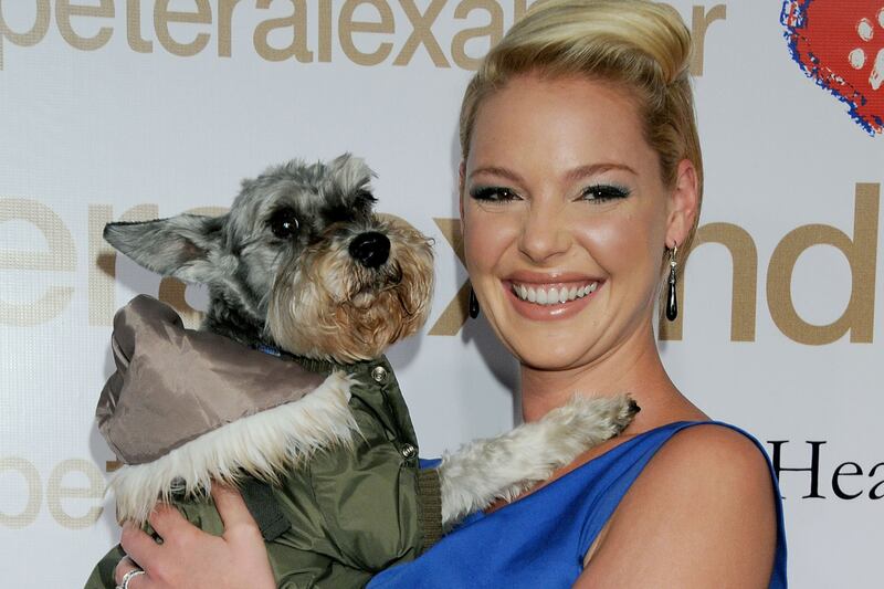 galleries/2013/02/01/ben-affleck-s-dog-and-more-celebrity-pets-with-famous-names-photos/katherine-heigl-celeb-dog-names_lvphsi