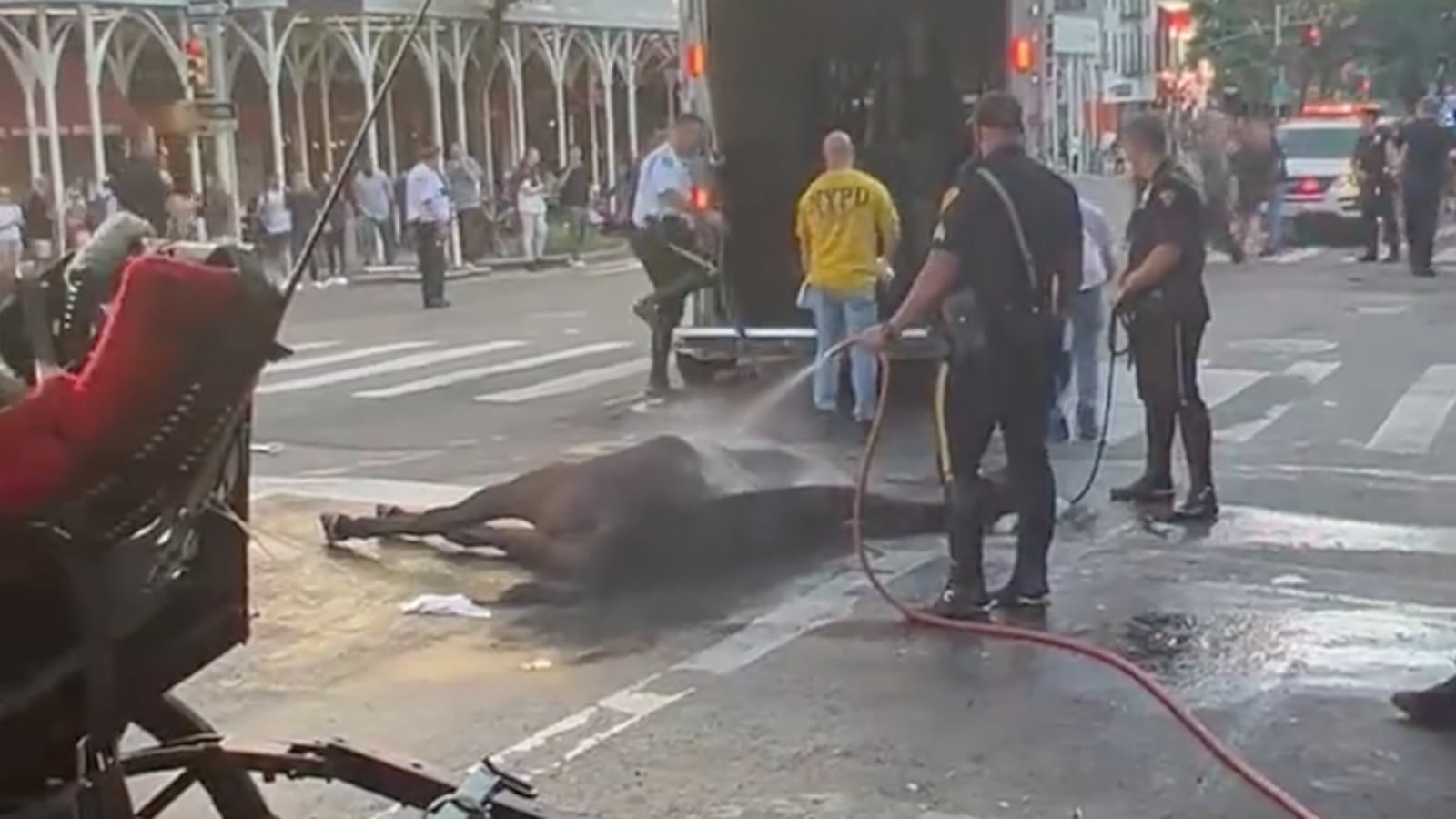 Screen_Shot_2022-10-17_at_1.51.53_PM_furf5r