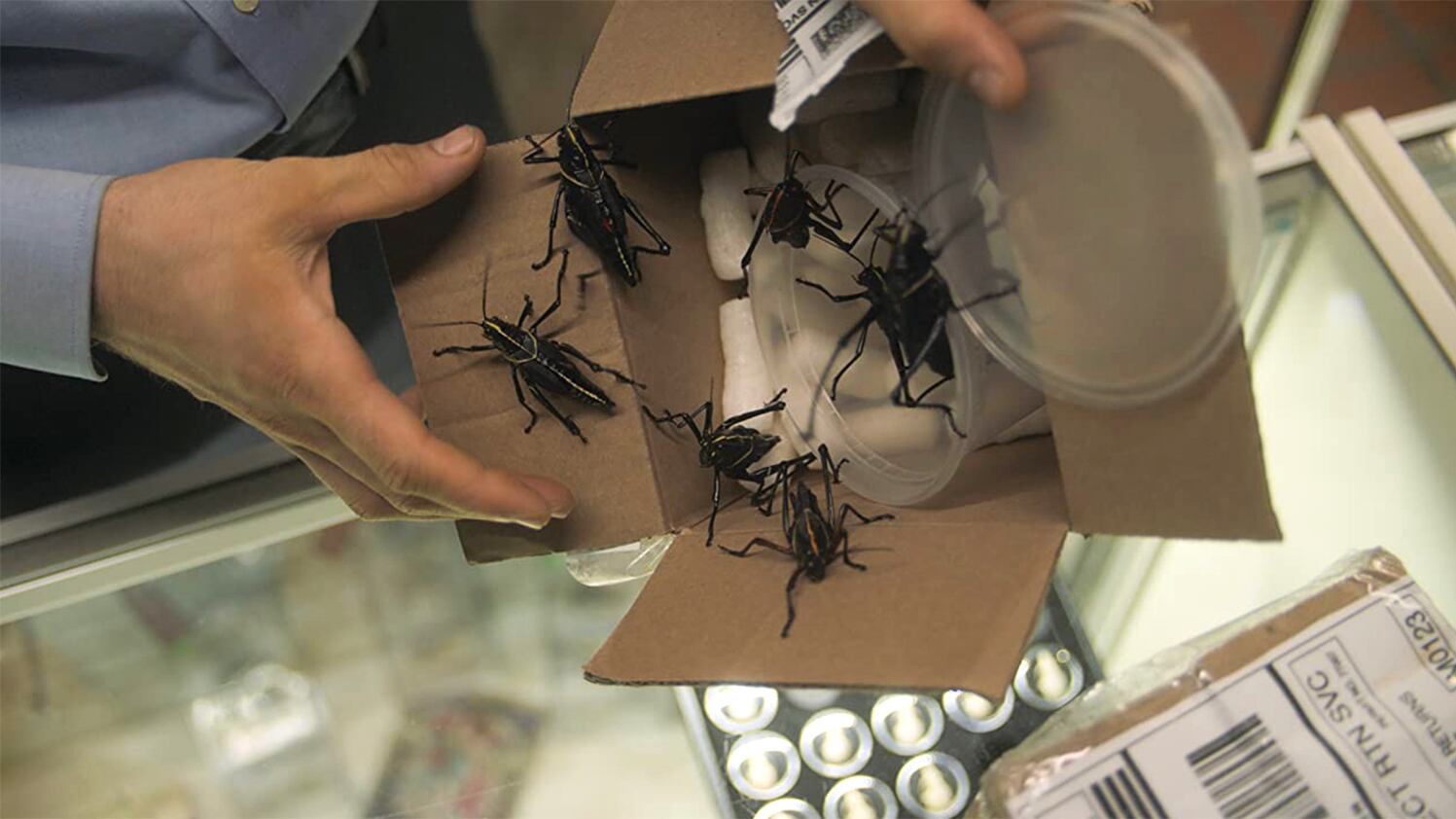 220302-schager-bugout-hero_tq40su