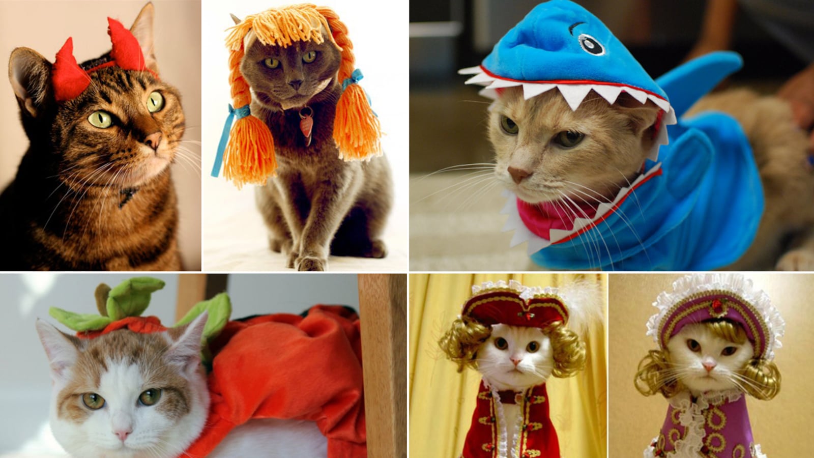galleries/2011/10/25/cats-in-halloween-costumes-photos/cats-in-costume-tease_mbyimq