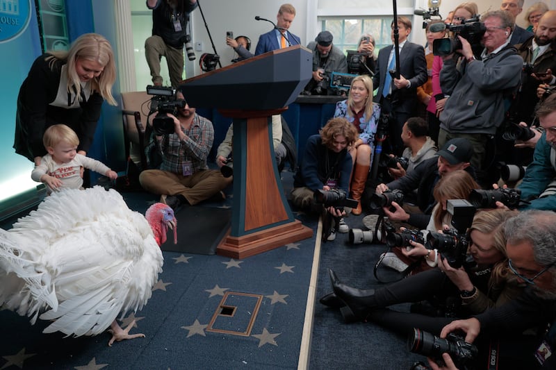 Leavitt embraced the Thanksgiving spirit in what appears to be pilgrim attire.