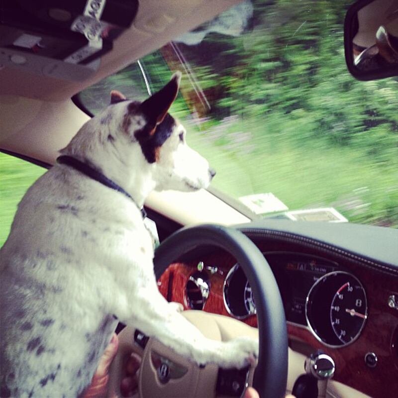 galleries/2013/06/01/cara-delevingne-dolce-gabbana-more-fashion-instagrams-photos/130531-dvf_t1sn5d