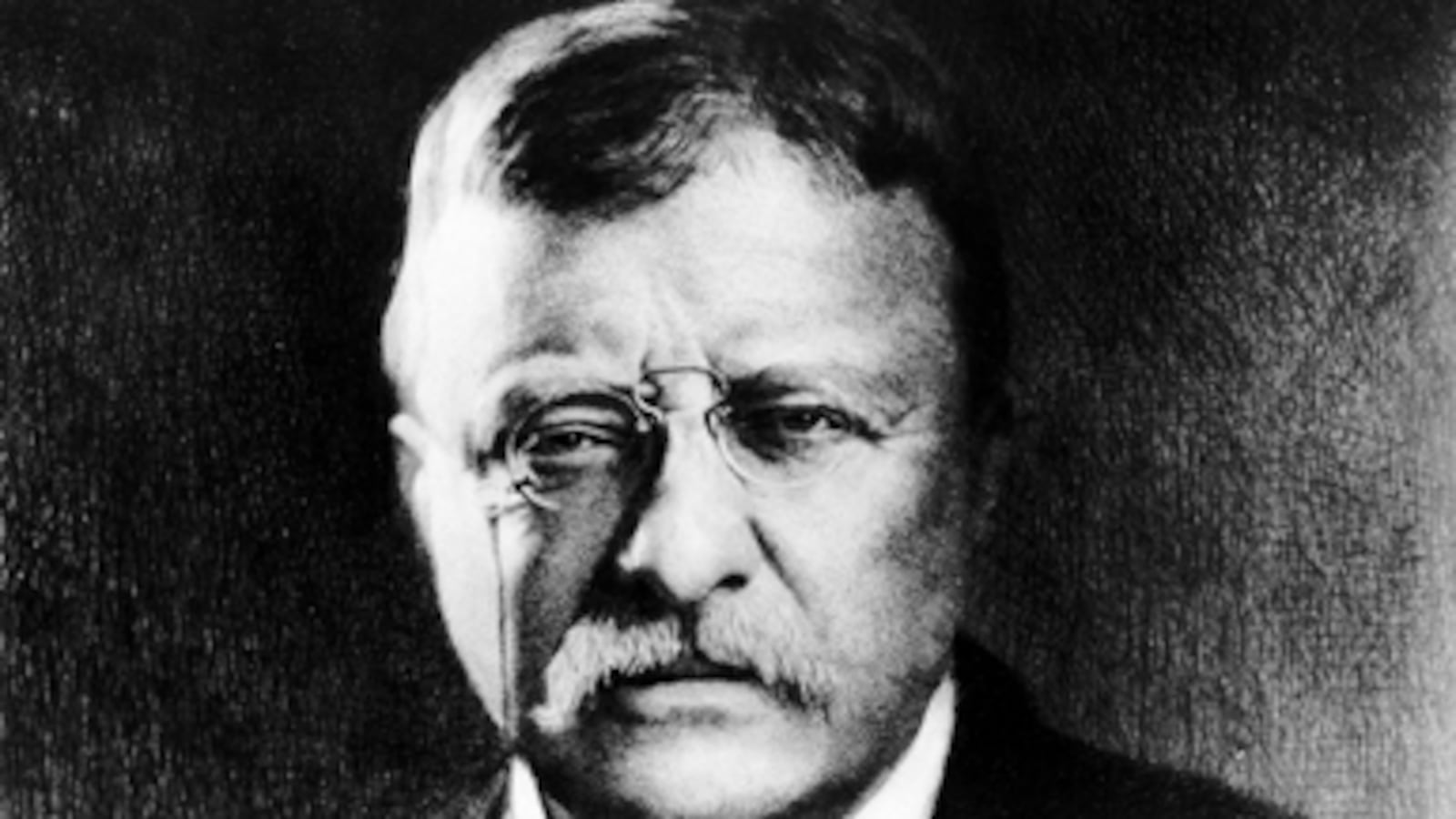 articles/2010/11/19/edmund-morris-new-book-colonel-roosevelt-interview/mcelwaine-morris-roosevelt_142581_yg1yfq