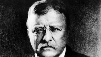 articles/2010/11/19/edmund-morris-new-book-colonel-roosevelt-interview/mcelwaine-morris-roosevelt_142581_yg1yfq