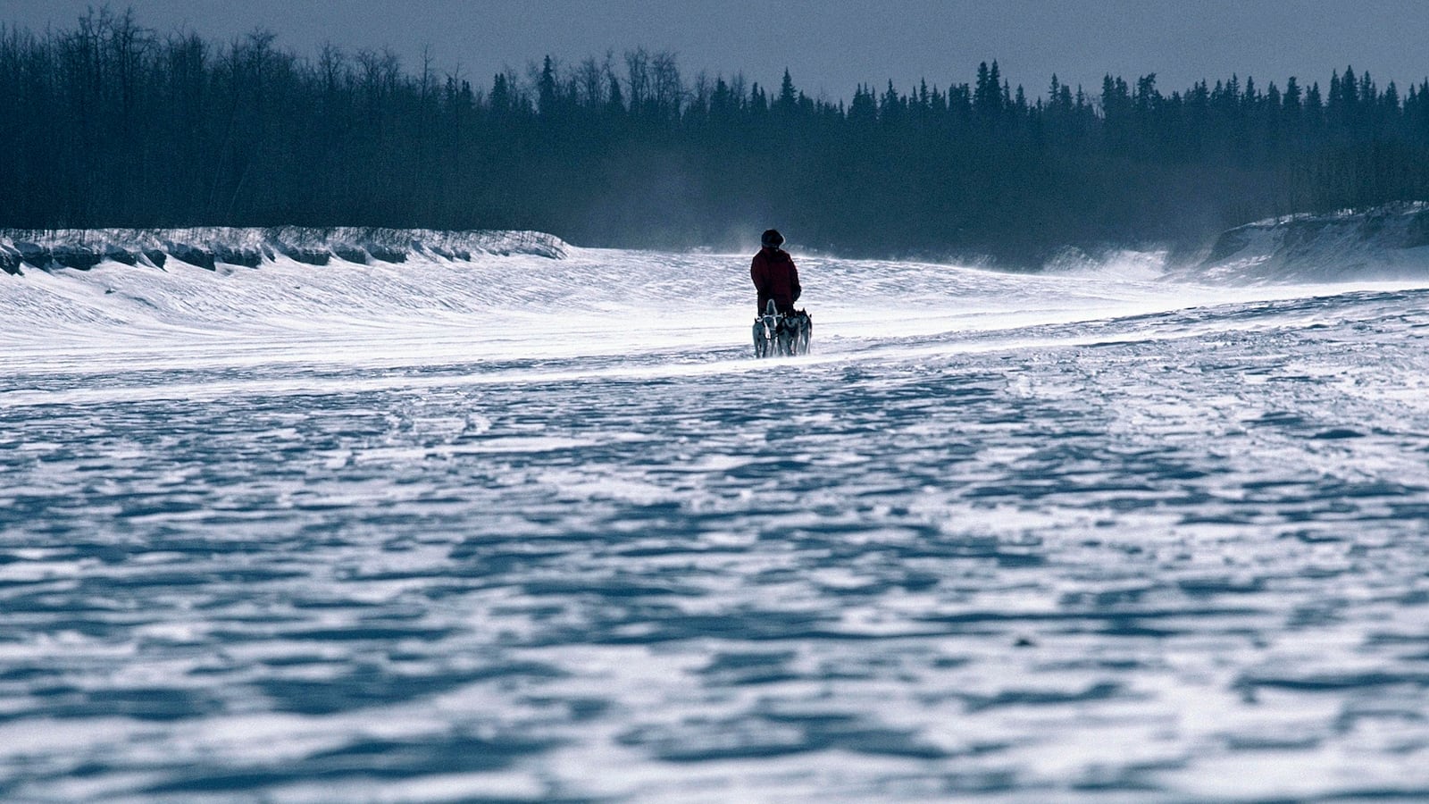 The Iditarod sled dog race ends in the Alaska town of Nome