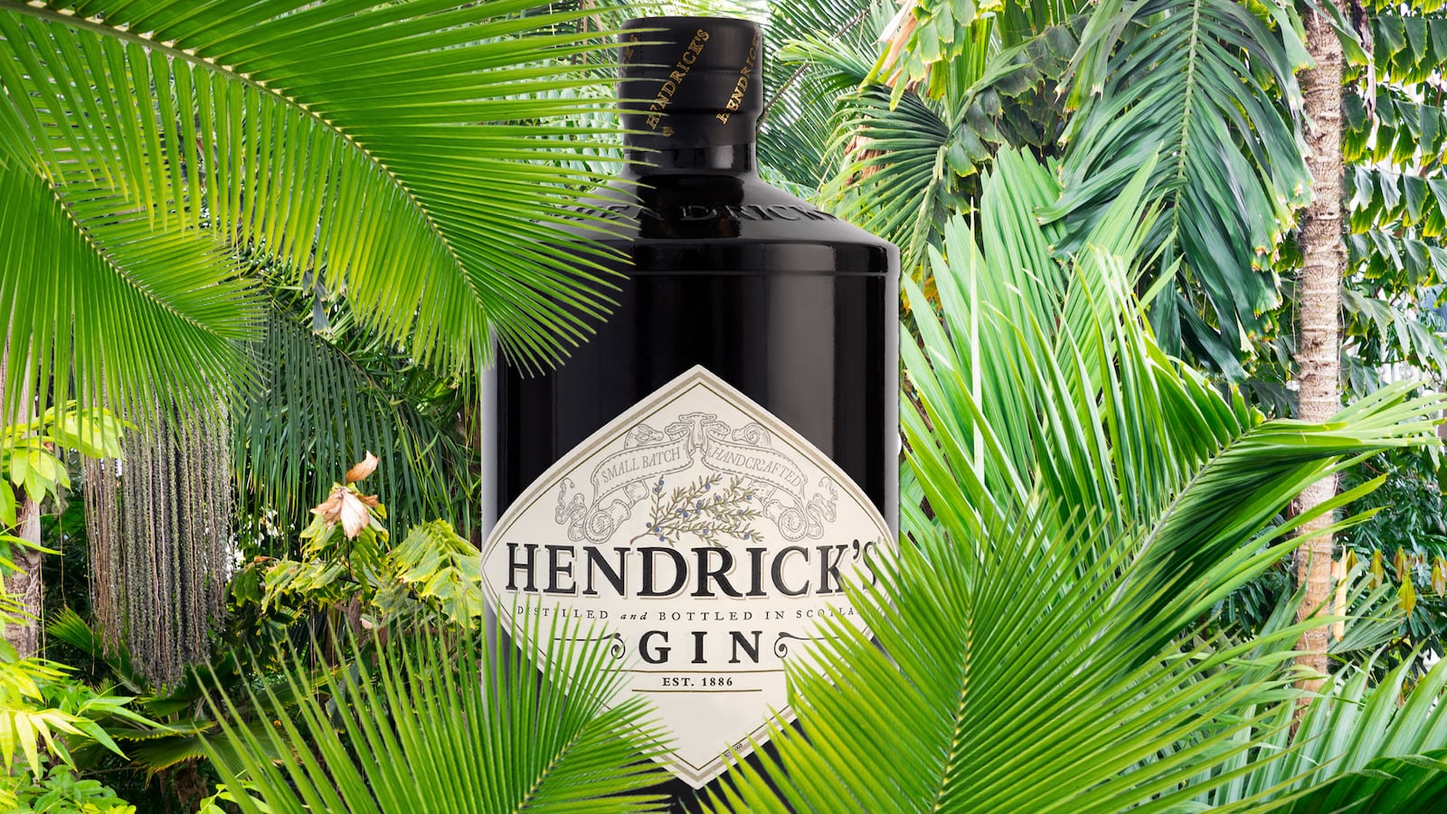 articles/2014/07/08/when-a-modern-day-indiana-jones-met-an-adventurous-gin-distiller/140707-binlot-hendricks-tease_omnufg