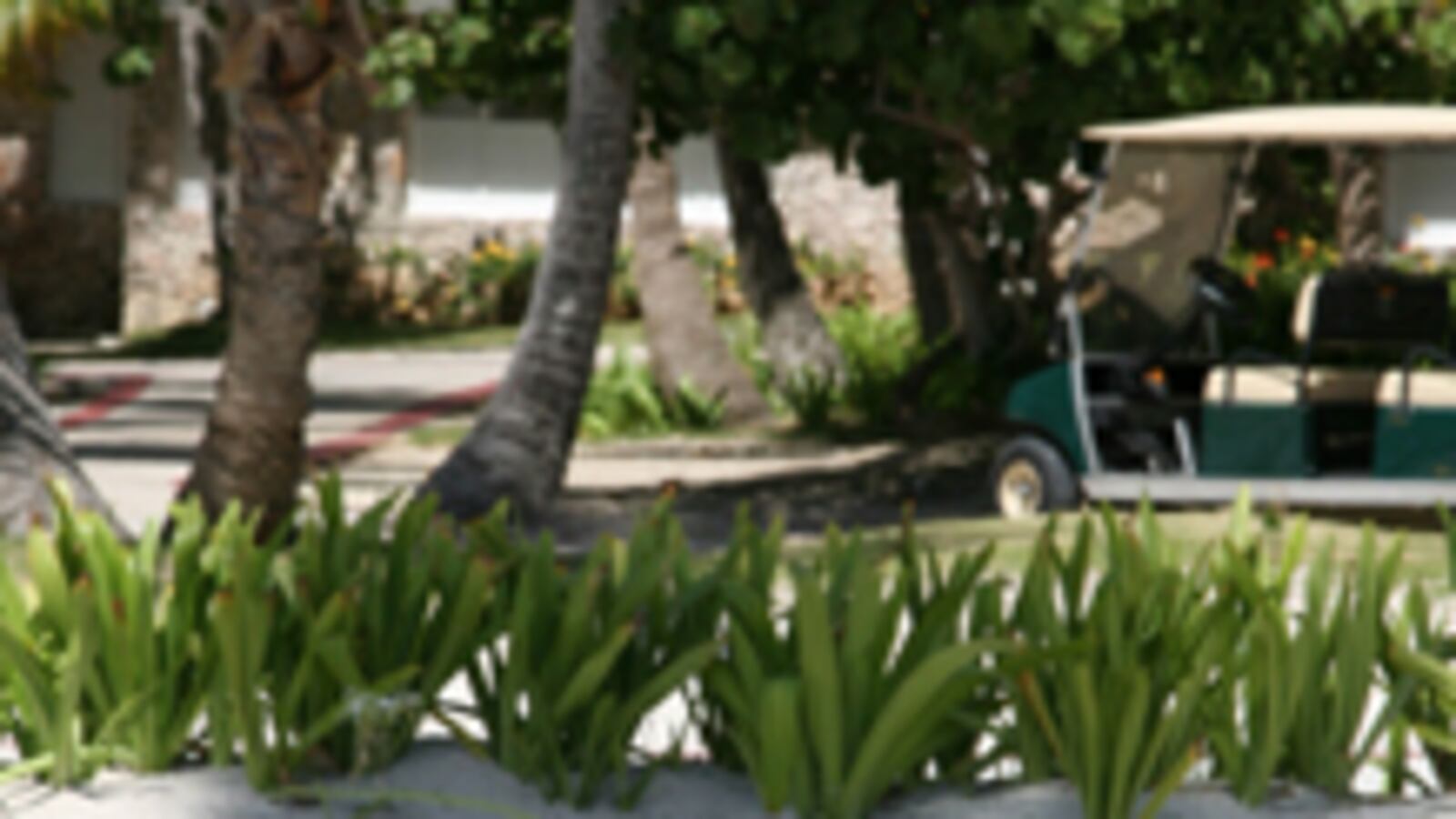 articles/2010/03/01/the-scandal-that-could-doom-the-democrats/beinart-charles-rangel_84989_aa0gjg