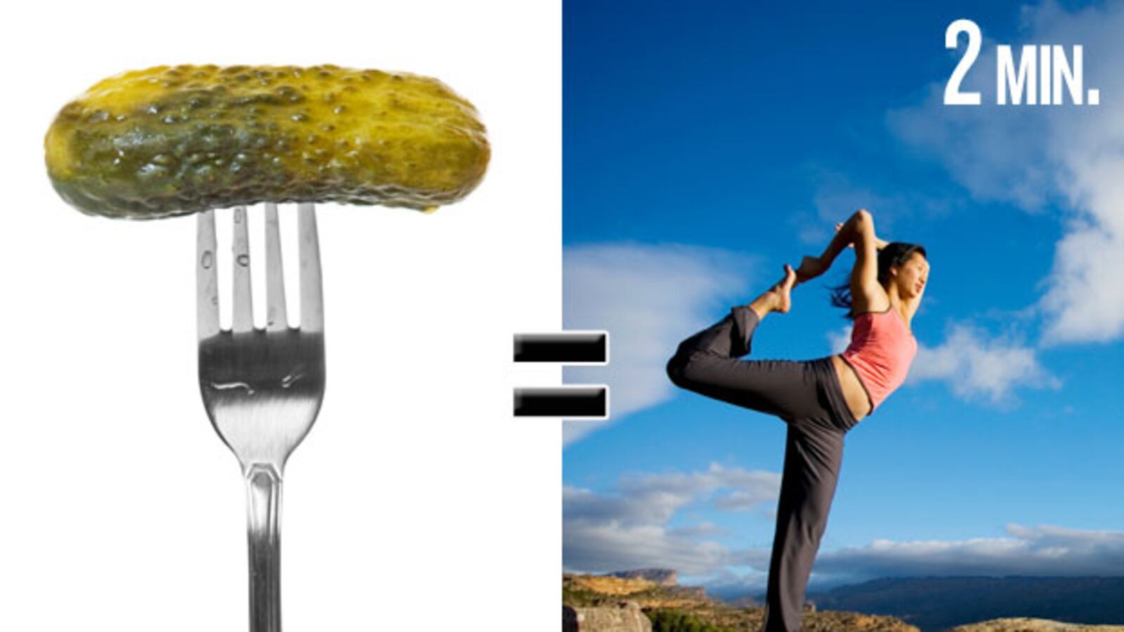 galleries/2010/07/29/shocking-equations/food-equations---pickle_katjio