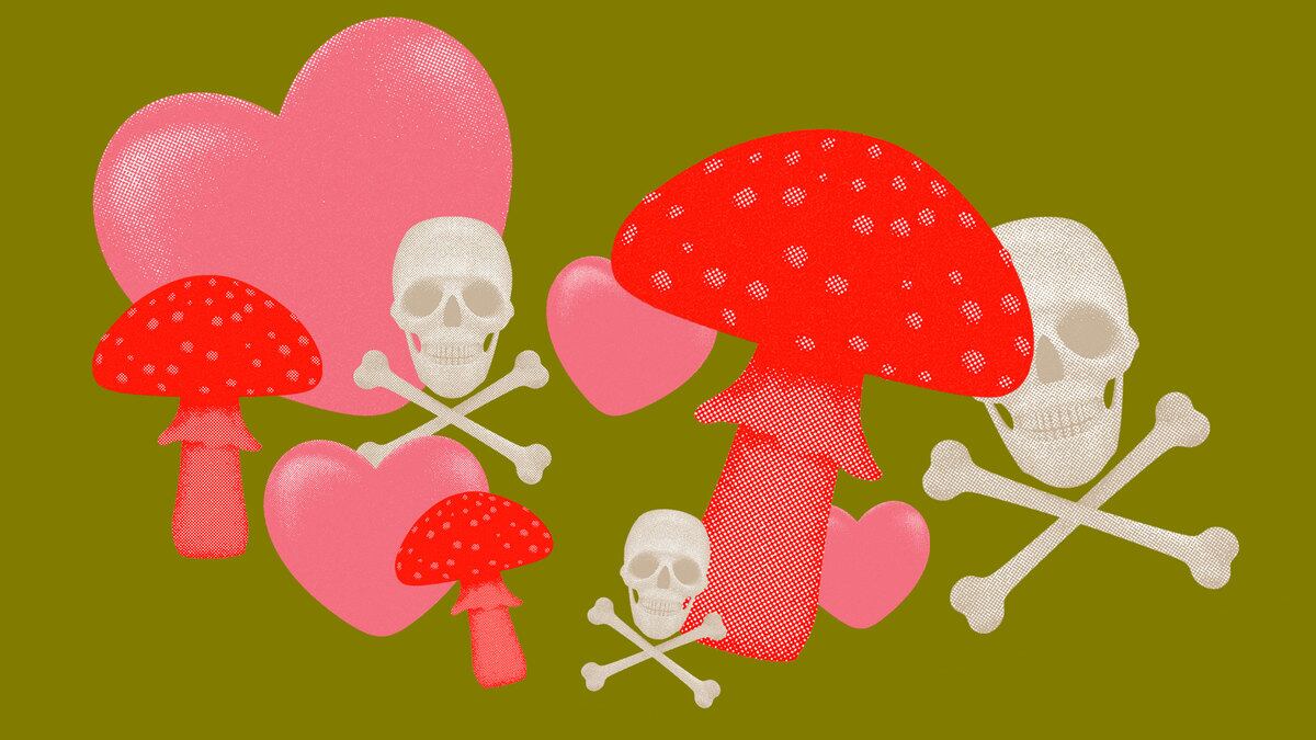 090322-tran-mushrooms-hero_nxlpnb