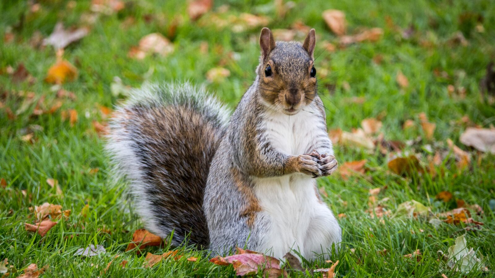 GettyImages-1048703790_2_iuv9e0