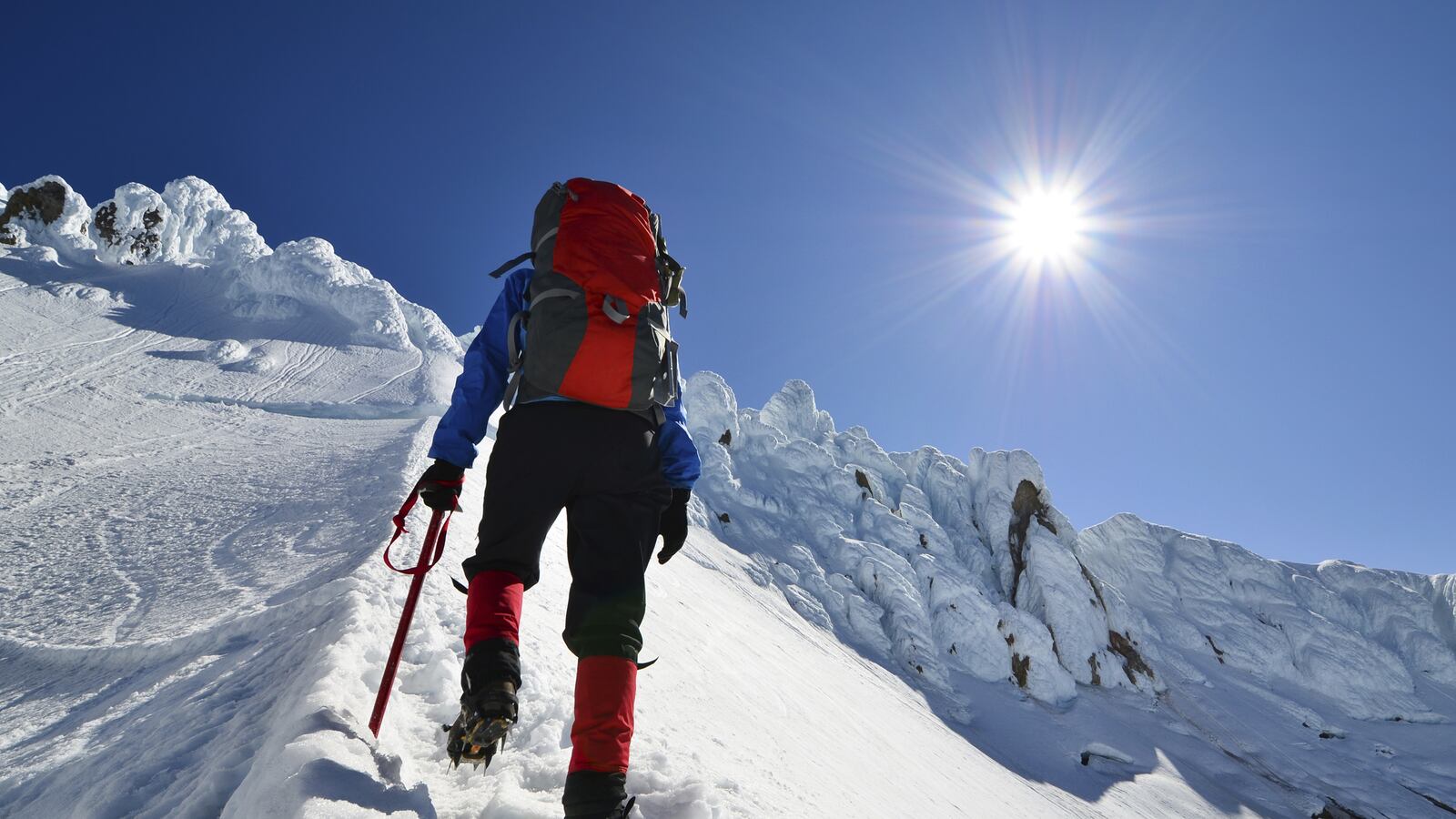 articles/2014/07/16/writing-a-novel-even-making-it-up-requires-research/140715-pearson-research-tease_o4wgy4