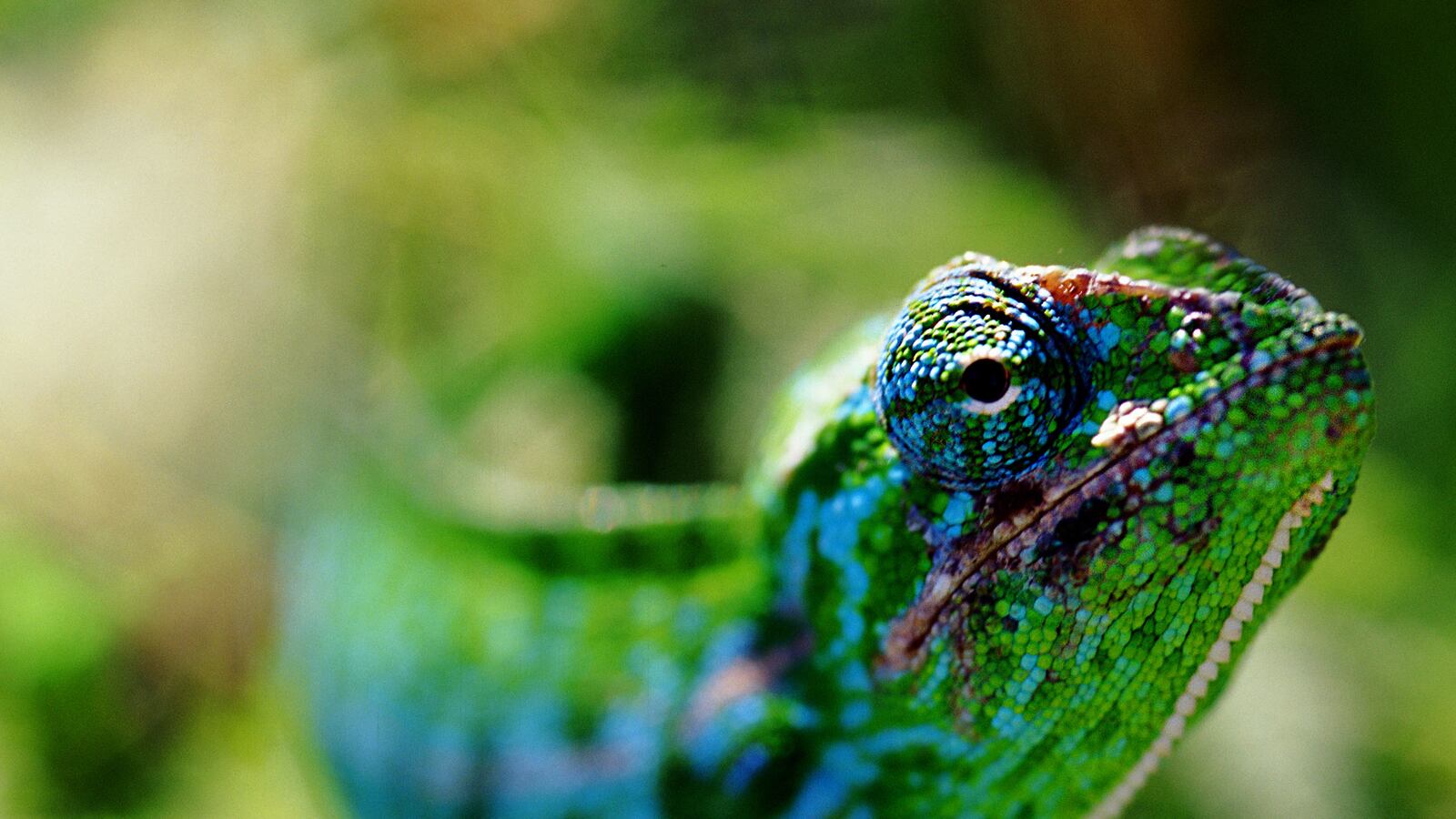 articles/2015/04/22/ignorance-is-killing-our-earth/150421-stewart-earth-day-tease_nioykt