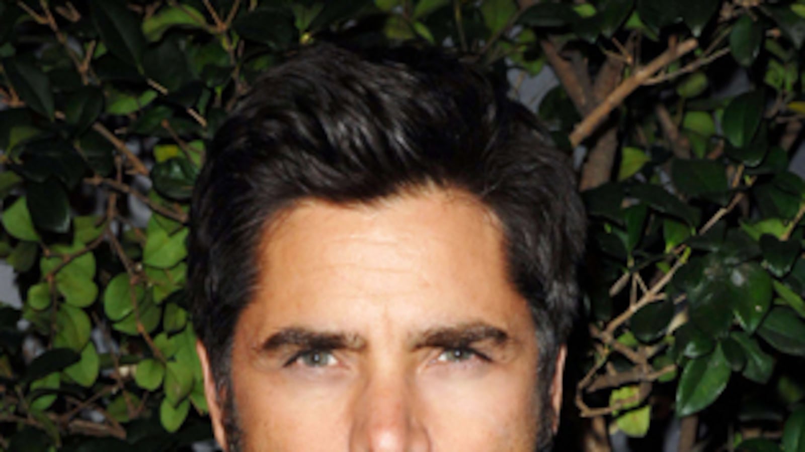 articles/2013/08/19/john-stamos-turns-50-watch-uncle-jesse-s-greatest-moments/replacing-charlie-sheen---john-stamos_tzh14f