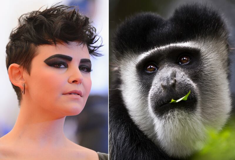 galleries/2013/05/07/met-gala-2013-guests-who-looked-like-animals/130507-gal-gala-animal-goodwin_mgflsi