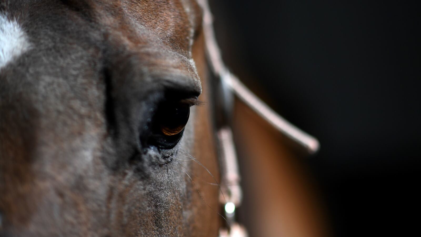 GettyImages-1211998638_nlyefa