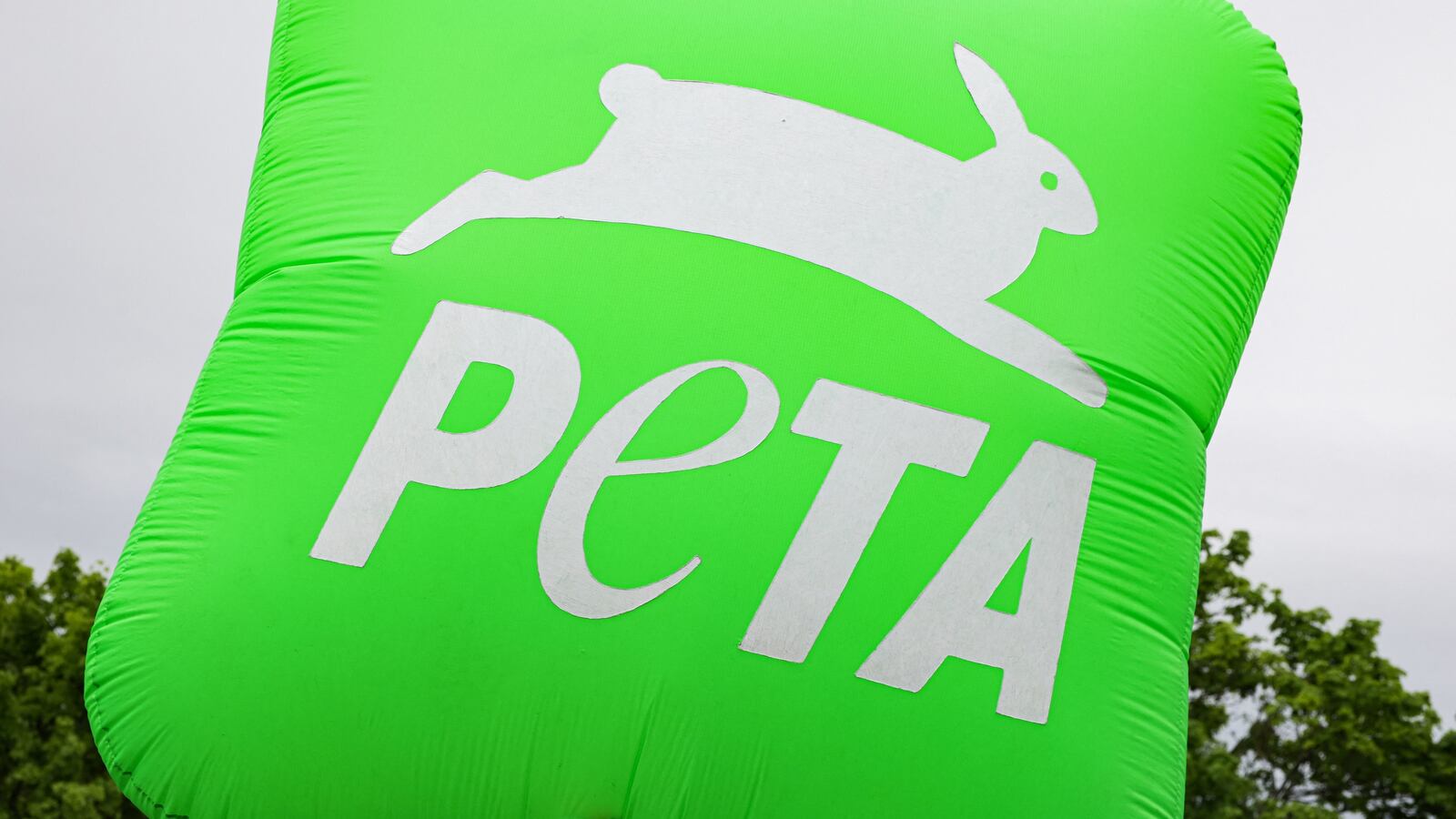 GettyImages-1240639117_msqzwl