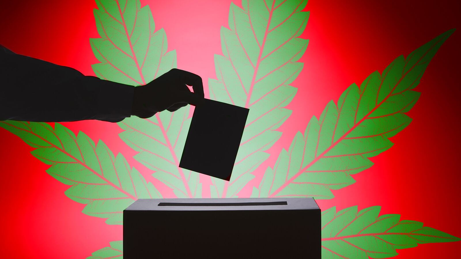 articles/2014/11/03/ganja-vs-geezers-in-the-sunshine-state/141102-jacobs-marijuana-vote-tease_pytgtf