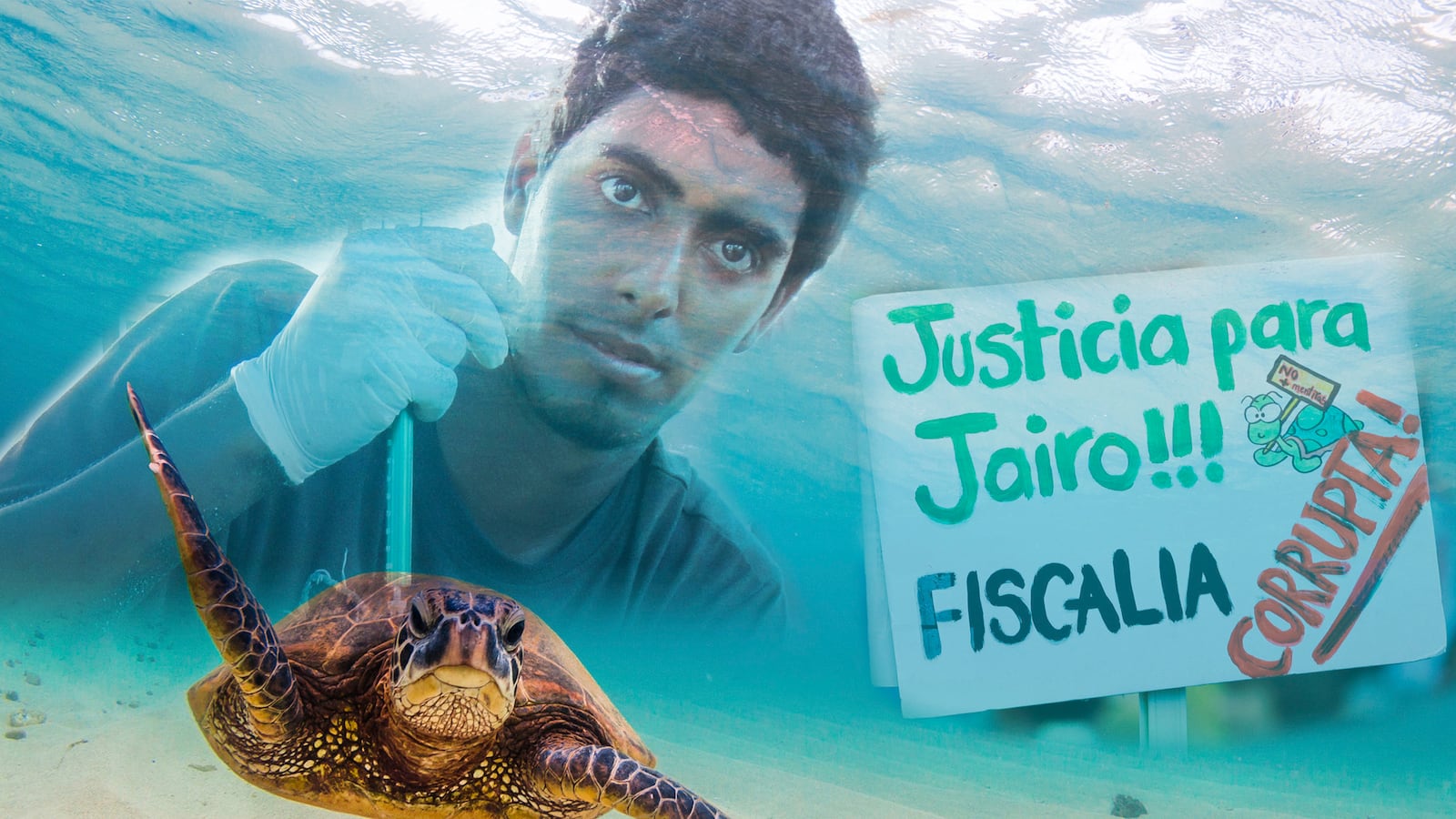 articles/2016/04/24/he-loved-sea-turtles-they-killed-him-for-it/160423-fendt-cartel-turtles-tease_tbosbk