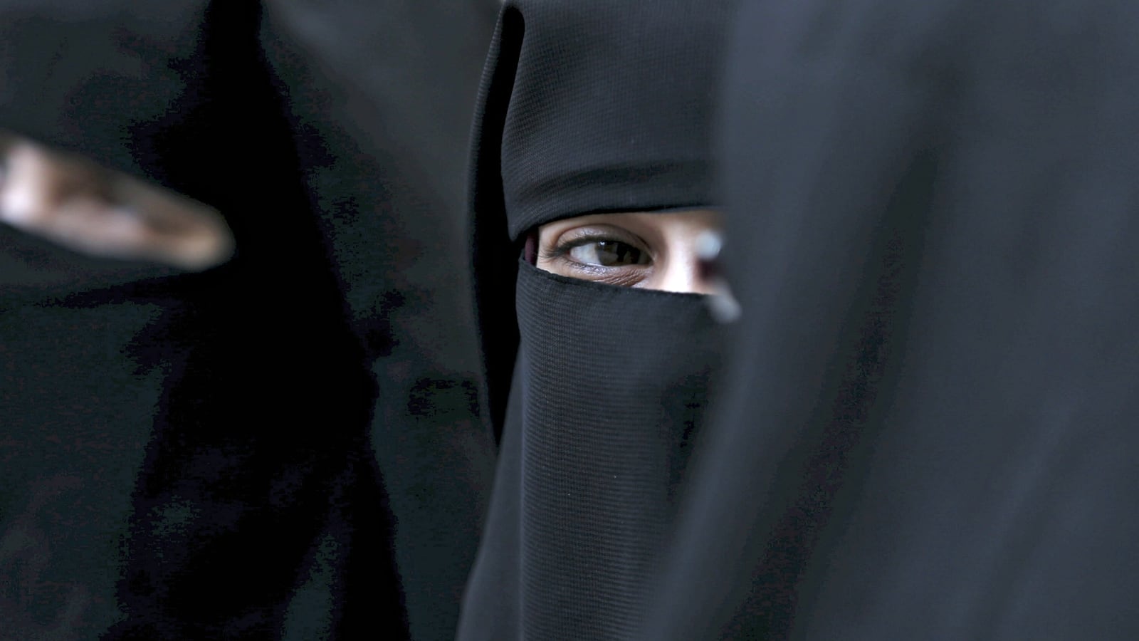 cheats/2016/11/16/georgia-bill-to-restrict-wearing-of-muslims-burqa-and-veil/161116-georgia-burqa-ban-cheat_fqymww