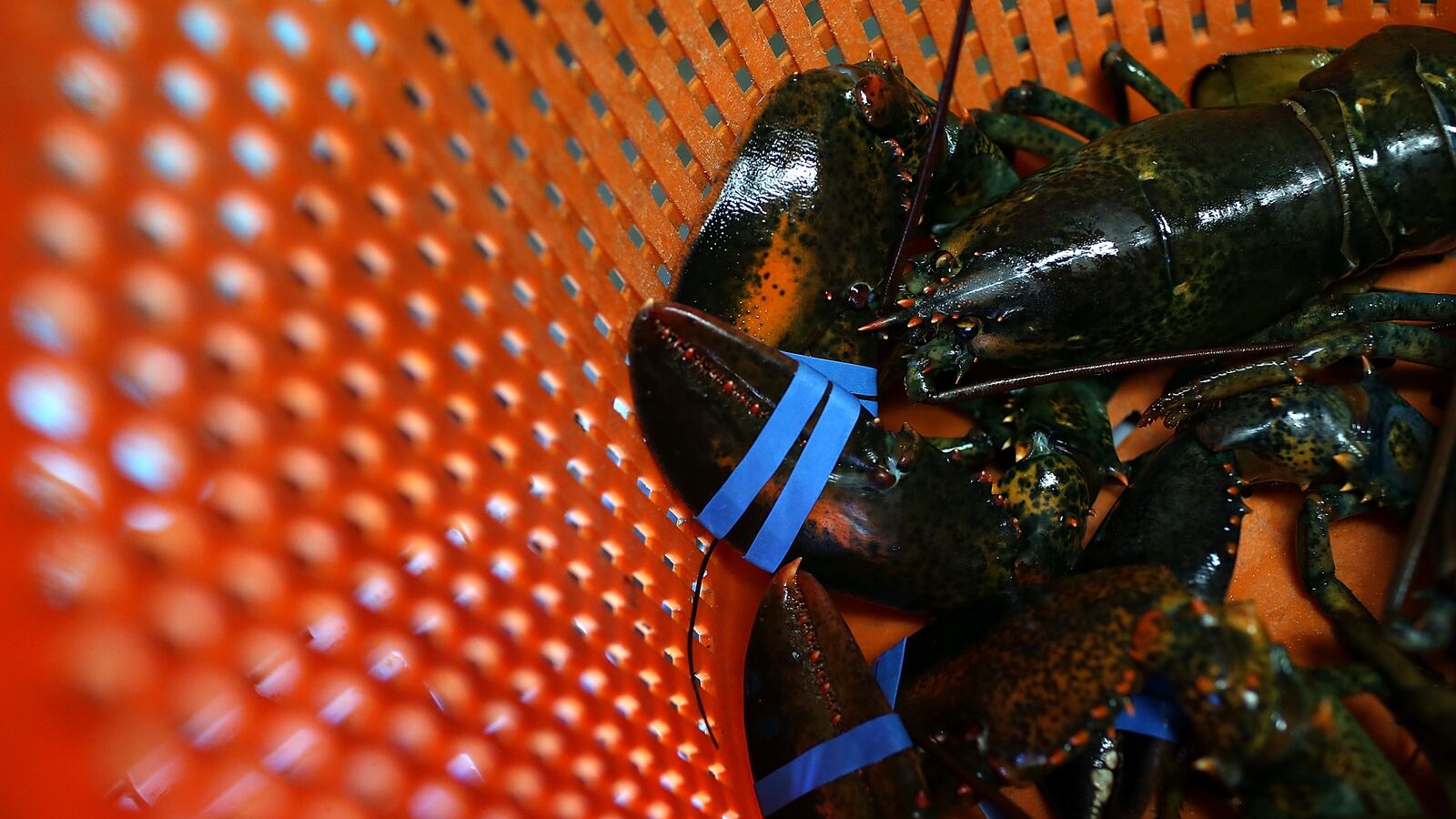 GettyImages-149001731_bwewch