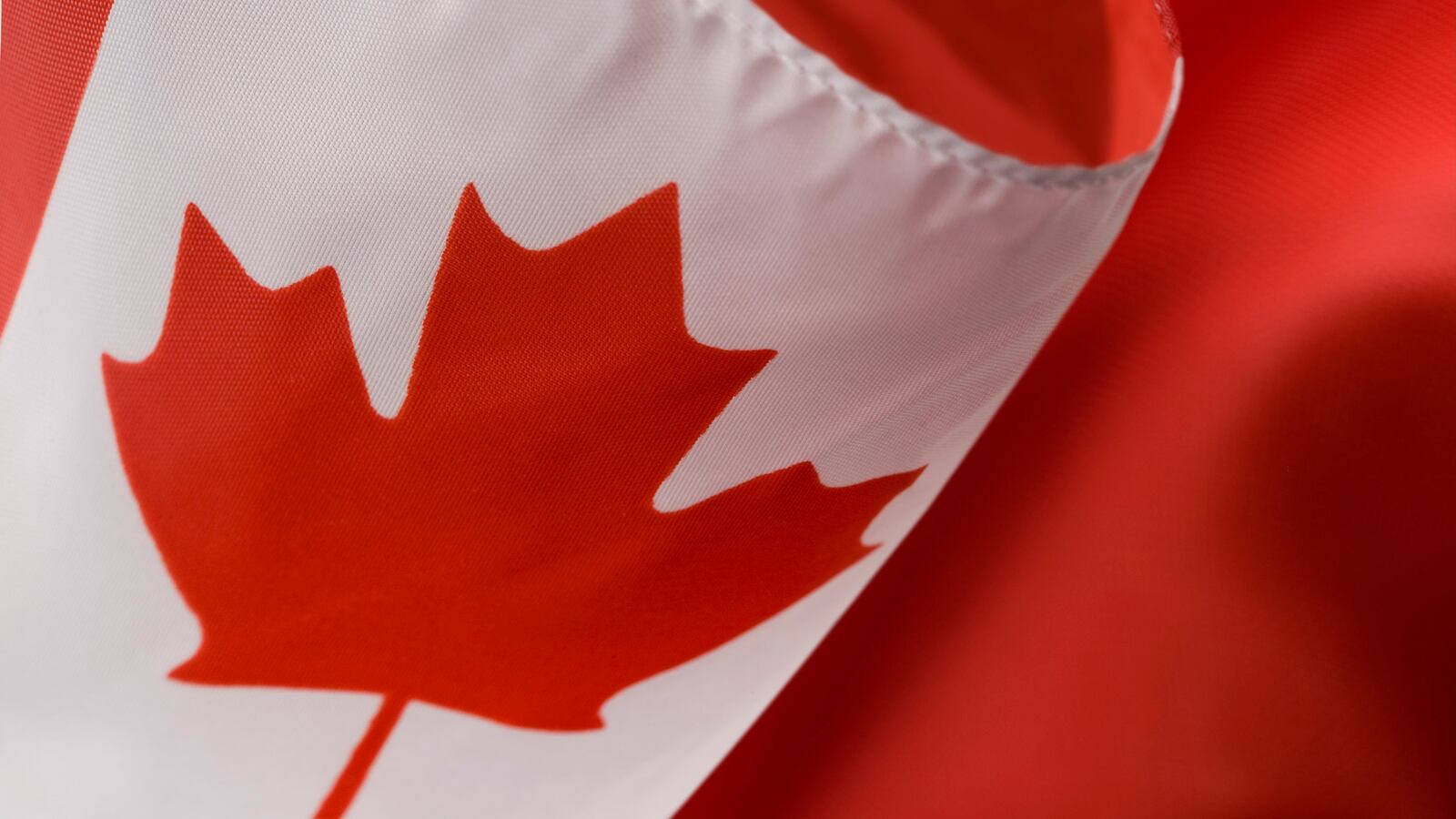 190913-rawnsley-rabbithole-tease_y1daeo