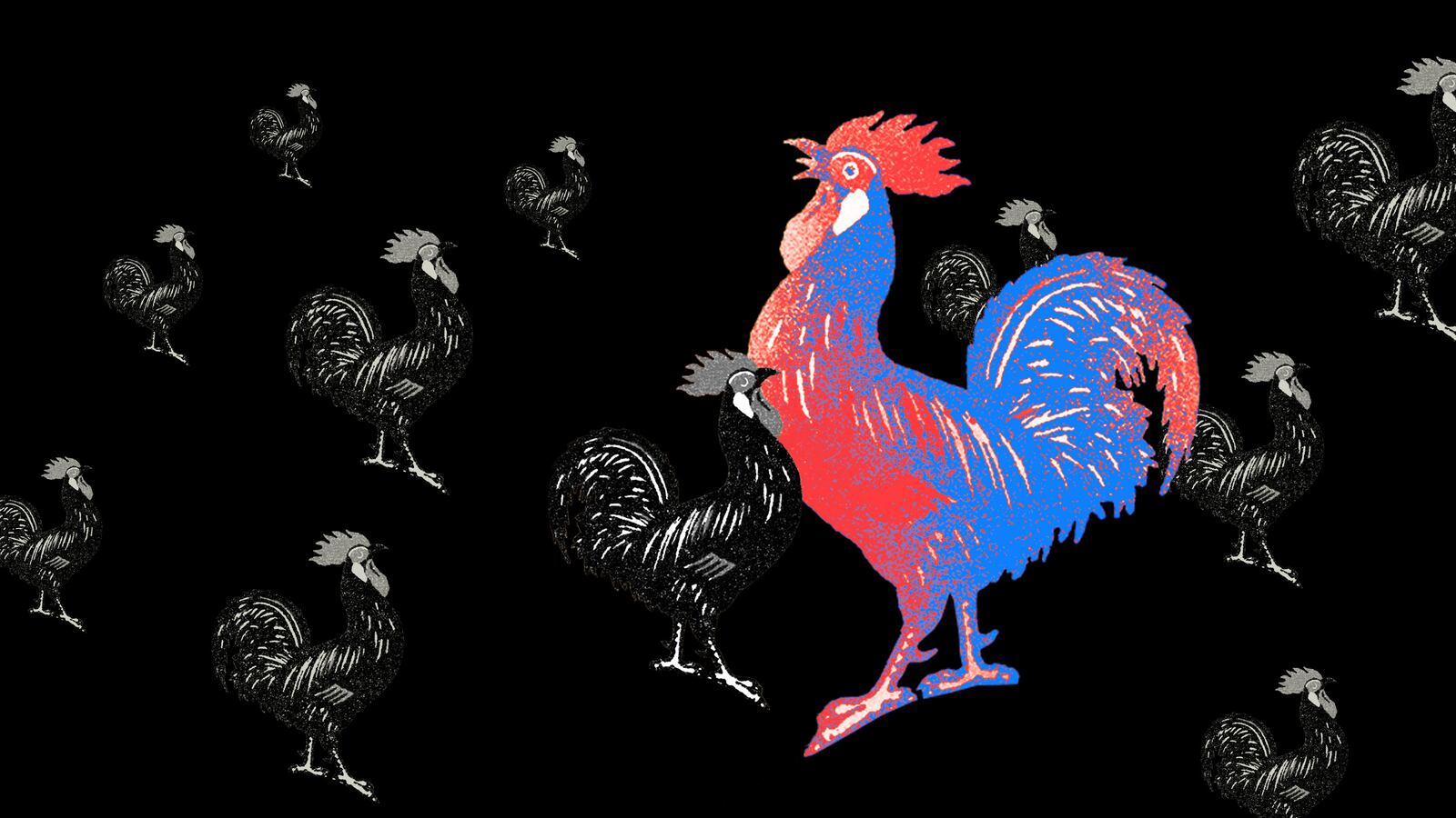 082422-ali-woke-newhero_l4fuje