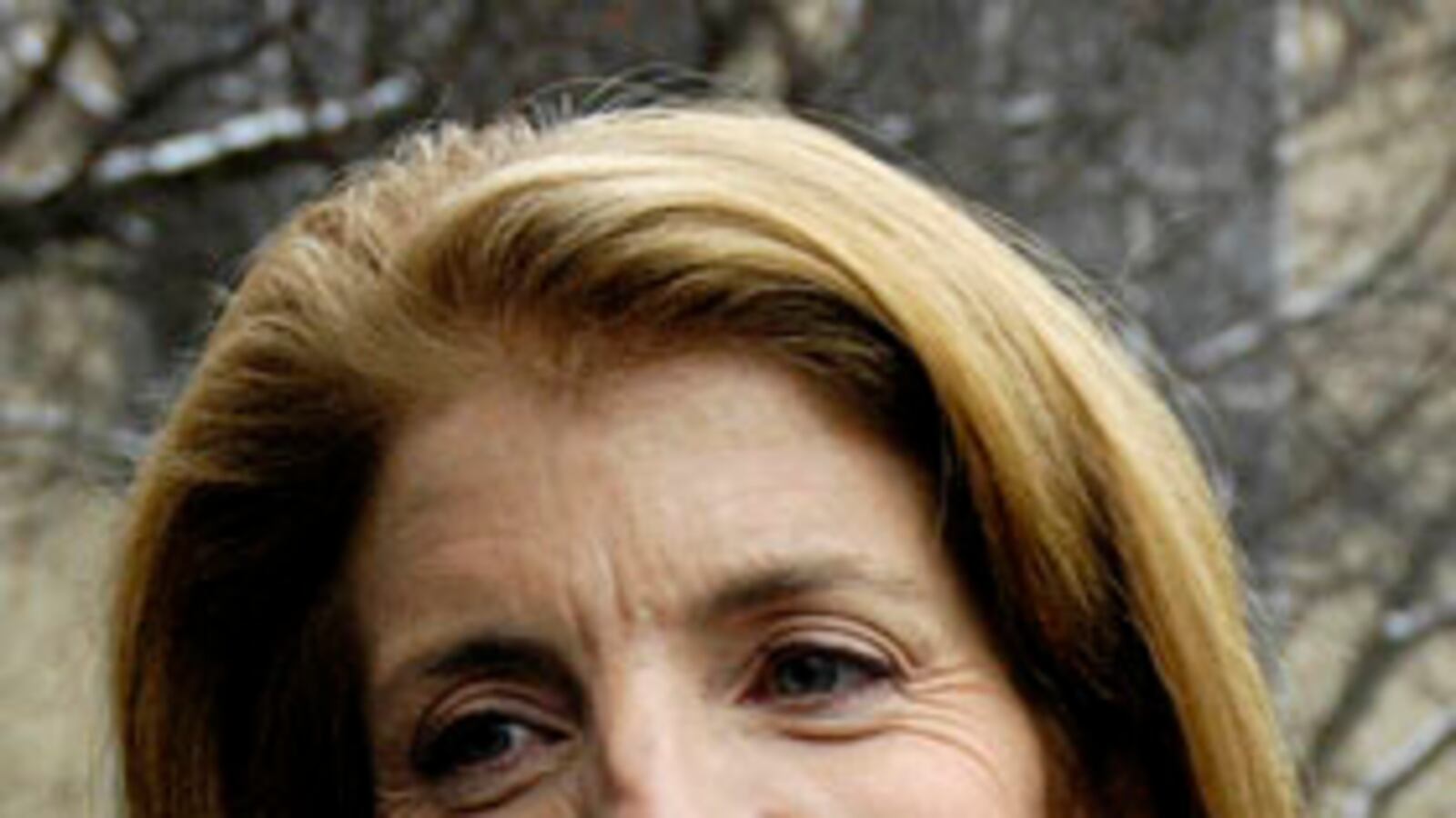 cheats/2008/12/21/carolines-platform/caroline-kennedy-397_g876yr