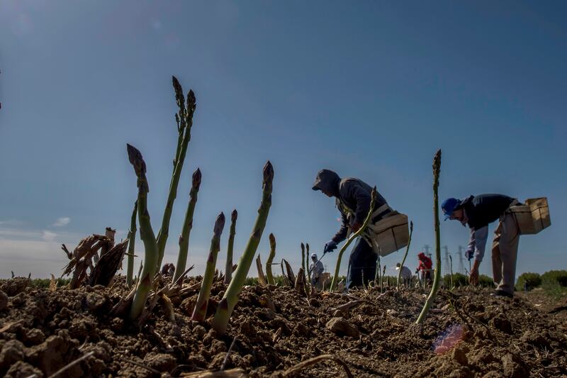 galleries/2015/04/11/the-week-in-pictures-april-11-2015/150410-WIP-01_wtwmf7