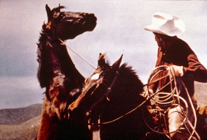 galleries/2012/07/06/jeff-koons-gerhard-richter-more-taking-the-measure-of-1980s-art-photos/80s-art-prince_untitledcowboy_x3ztzz