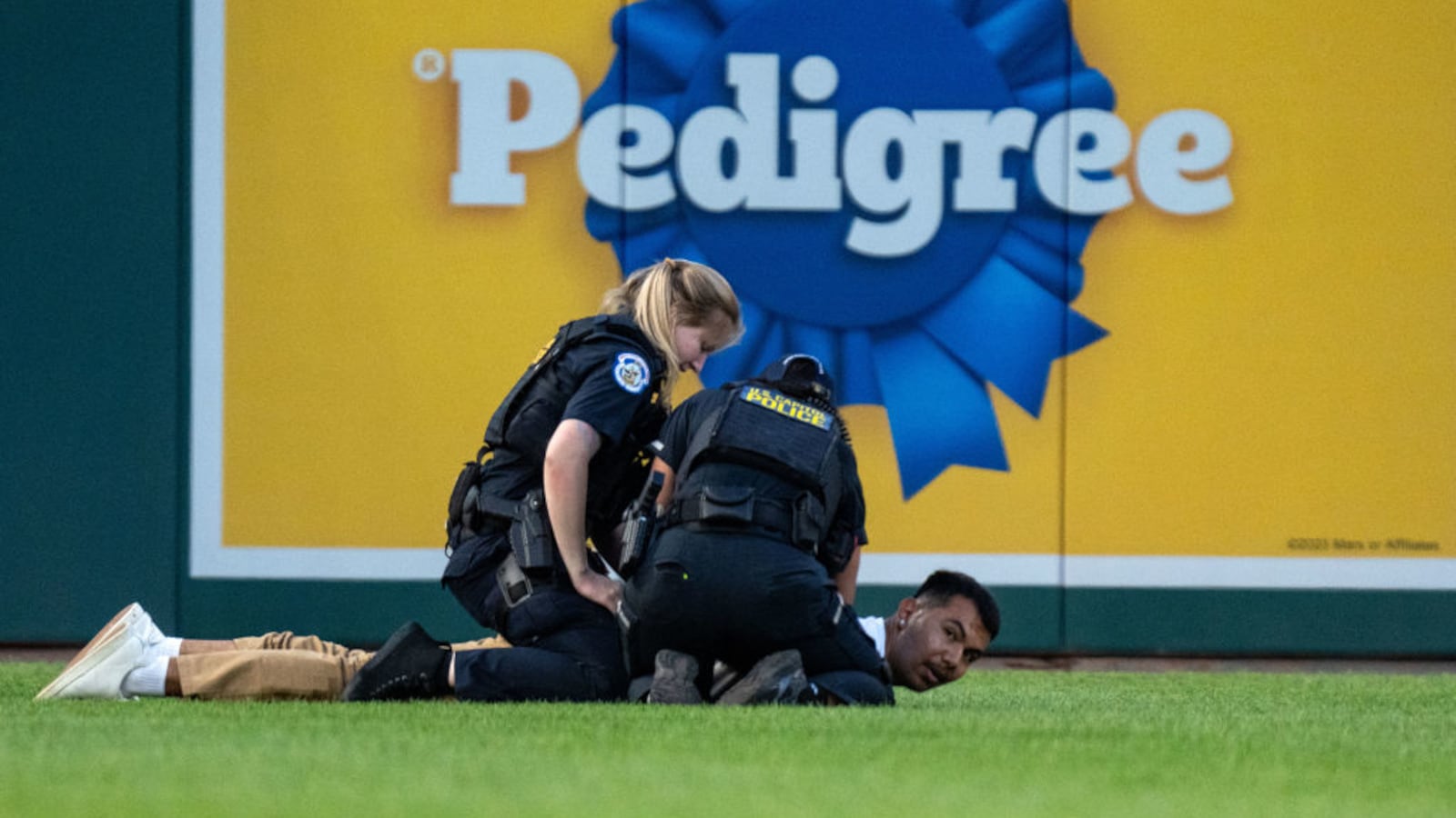 Capitol Police detain a Climate protester who ran onto the field during the Congressional Baseball Game.