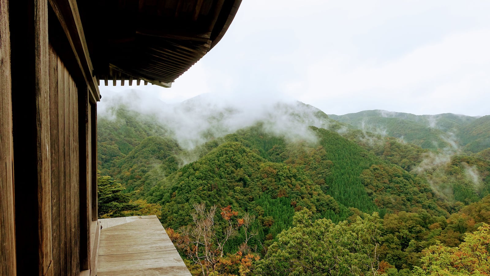 190908-crossley-baxter-japanese-hike-hero_ihsqh4
