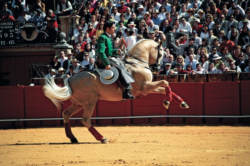 galleries/2014/03/03/capturing-the-spirit-of-seville-photos/jones-spirit-seville-7_dkkuye
