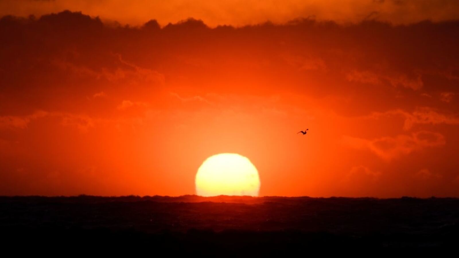 GettyImages-1093391776_jqzsbp