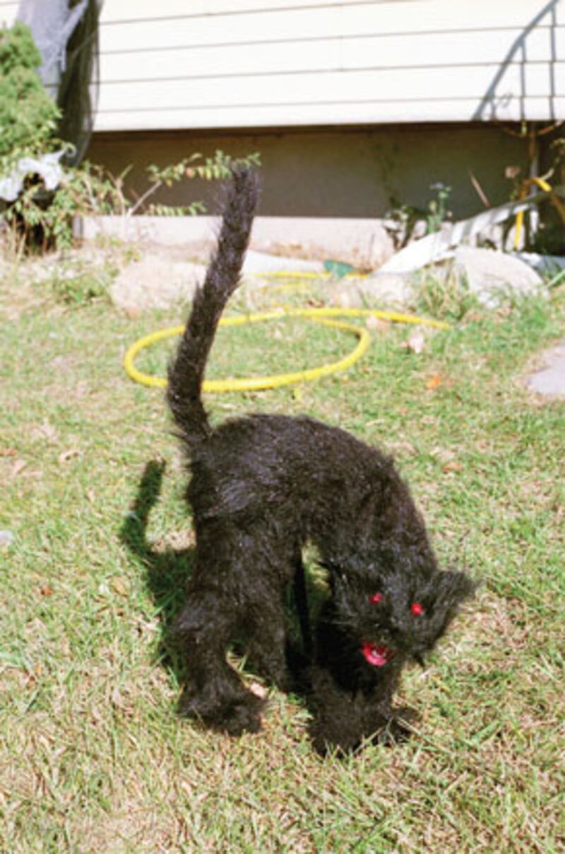 galleries/2010/07/22/vice-photo-issue/vice-photo-issue-7_jqph4w