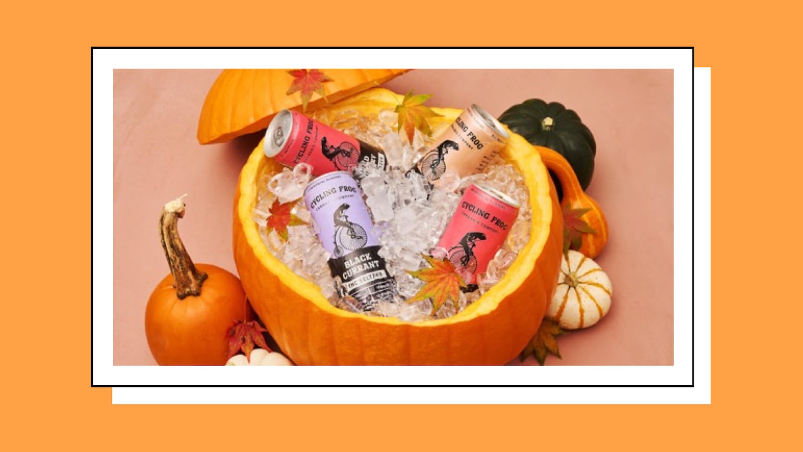 Cycling Frog drinks in a pumpkin.